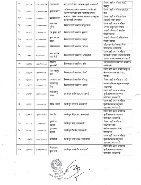 dsp saruwa.jpg 3.jpg