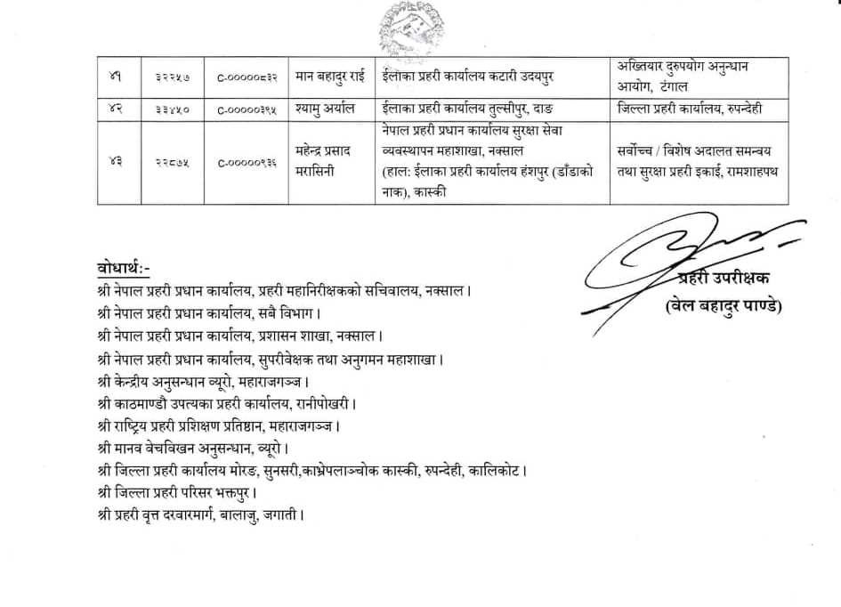 dsp saruwa.jpg 4.jpg